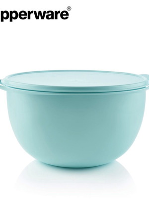 Giga Bowl 10L Tupperware new