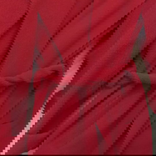 Bill Cost Ημίπαλτο Μαλλινό Καινούργιο Κόκκινο Με Κουκούλα Και Τσέπες Μεγάλο Μέγεθος XL