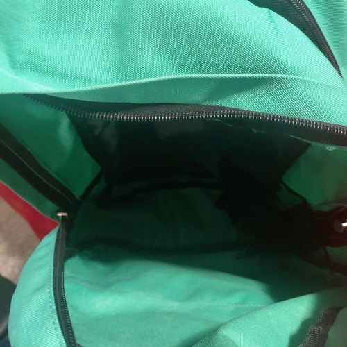 Polo backpack like new, mint color