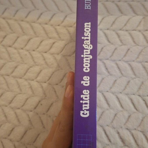 Guide de conjugaison French verb conjugation book by Burney / Bénac, Hachette
