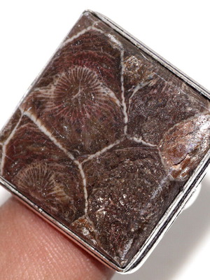 Ring with rare fossil coral silver plated, size USA 9