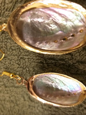 Abalone shell earrings