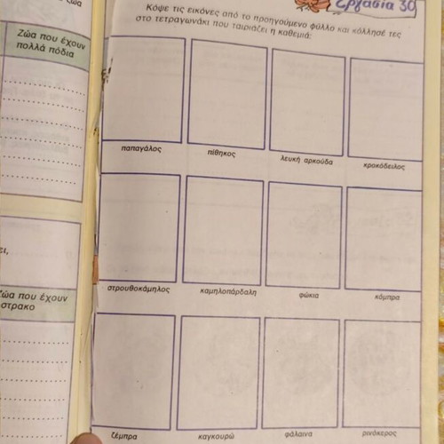 Emis kai o Kosmos Grade B workbook used