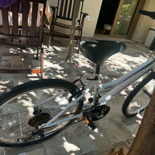 Orient Excel 24" 21-speed children's mountain bike