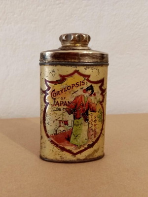 Vintage μεταχειρισμένο μεταλλικό κουτί ταλκ με γεϊσα
