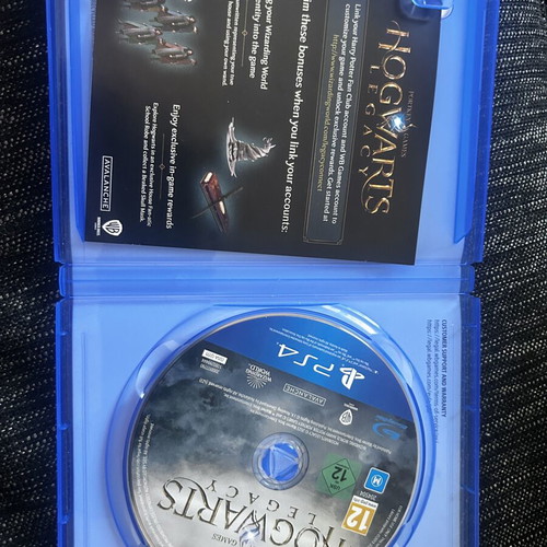 Hogwarts Legacy PS4 game