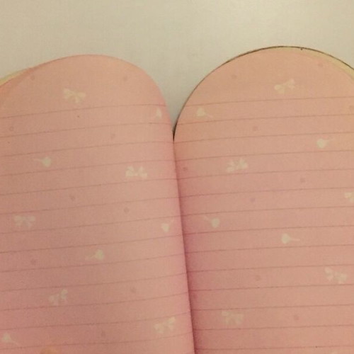 Vintage diary used, evergreen brand without lock