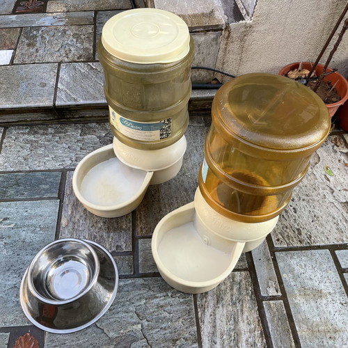 Petmate Le Bistrot Automatic Feeder and Waterer like new