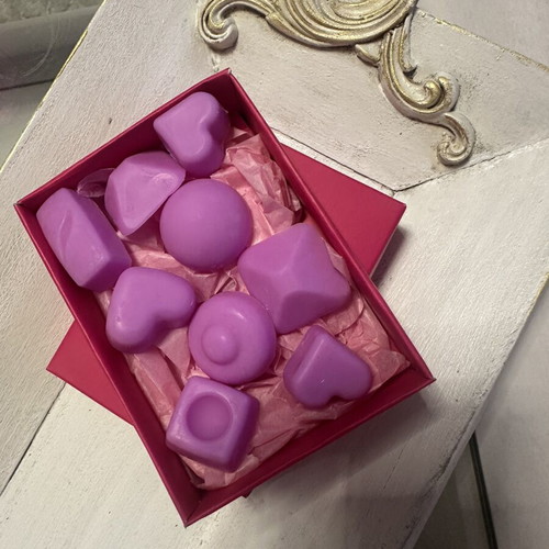 Wax Melts Coconut Scented Gift Set 120g, New