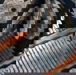  DRUUNA PC GAME