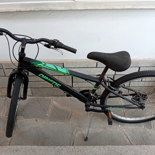 Orient Snake adult bicycle with 7 speeds