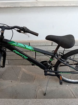 Orient Snake adult bicycle with 7 speeds
