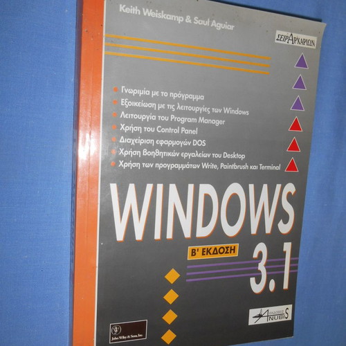 Windows 3.1 computer book like new, 2nd edition