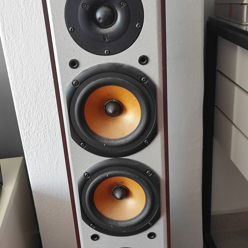 Roister sound floor-standing speakers like new