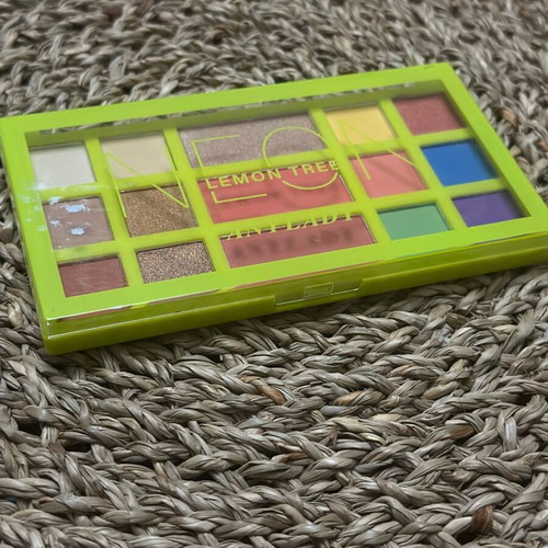 Professional eyeshadow palette new unused