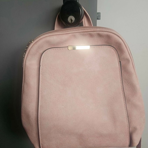 Backpack pink used