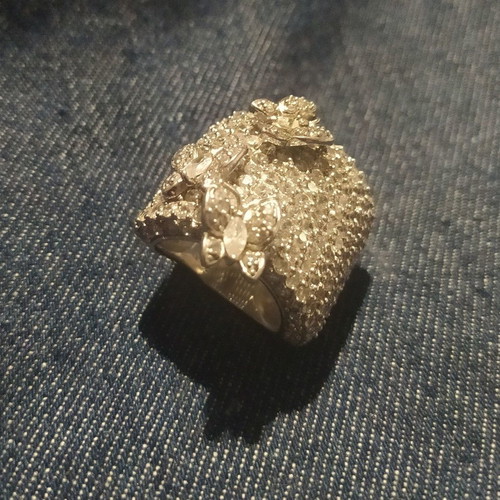 Jools statement ring used with butterflies and sparkling stones