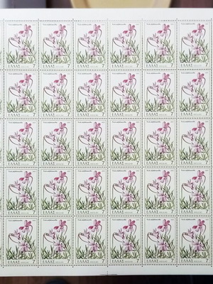 Sheet of 50 unused Viola delphinantha stamps 1978 new