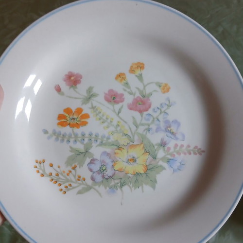 JUNG ceramic plates set used, pack of 12, Blooming series