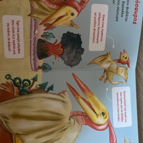 The Friends Our Dinosaurs children's book like new