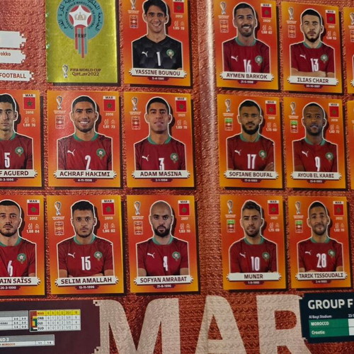Panini Qatar 2022 sticker album, complete