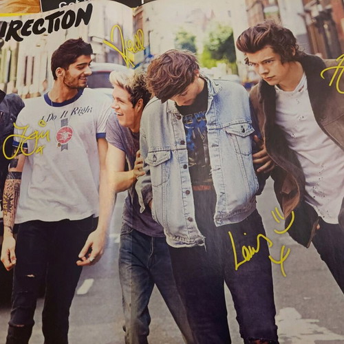 Mini Magazine One Direction 'Story Of My Life' used