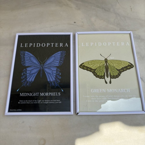 Butterfly art prints used, framed 30x20cm with poetic texts