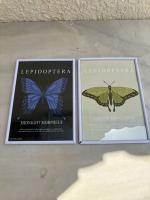 Butterfly art prints used, framed 30x20cm with poetic texts