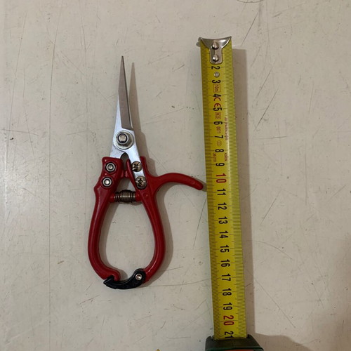 Garden scissors for flowers and vineyards like new