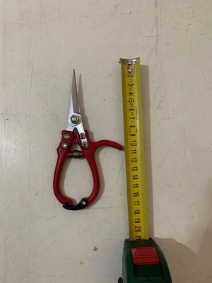 Garden scissors for flowers and vineyards like new