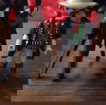  Playmobil