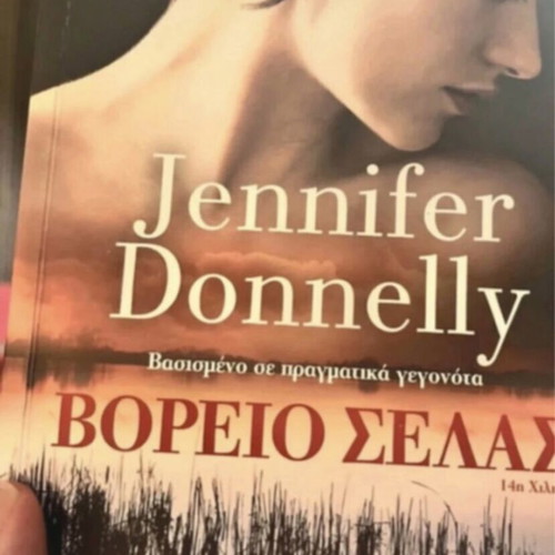 A Northern Light by Jennifer Donnelly book like new, historical novel