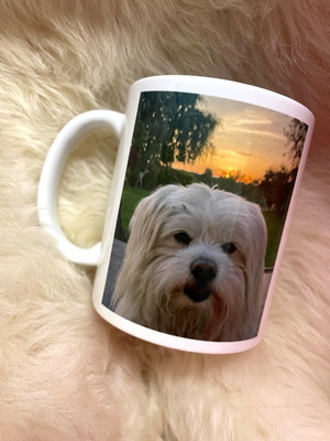 Malteser coffee mug like new