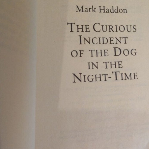 The Curious Incident of the Dog in the Night-Time book like new, English