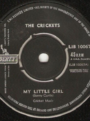 The Crickets My Little Girl 45 RPM used, rock