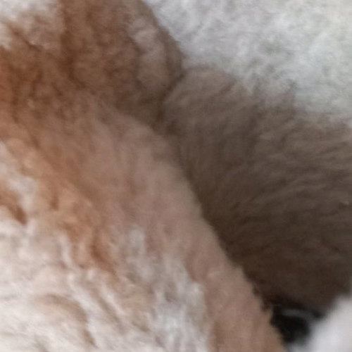 Leather boots with fur size 38 in excellent condition