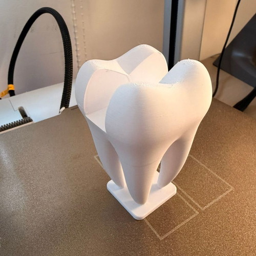 3D Printed Card Holder The Dental Tooth custom order, minimal design