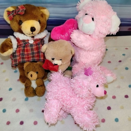 Stuffed toys used, pack for girls