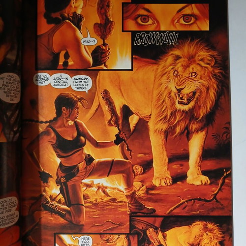 Tomb Raider The Greatest Treasure of All comic near mint 2005