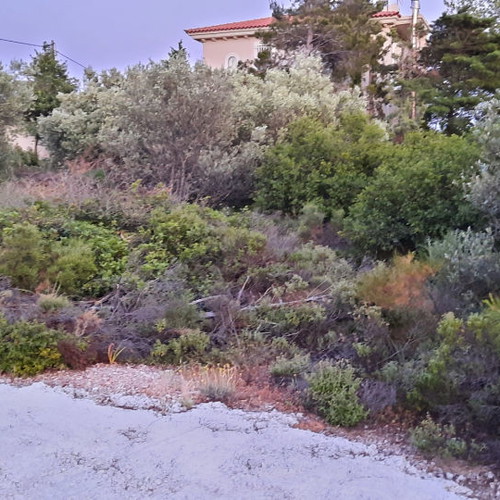 Land 1,500 m² in Drafi, corner plot, within city plan