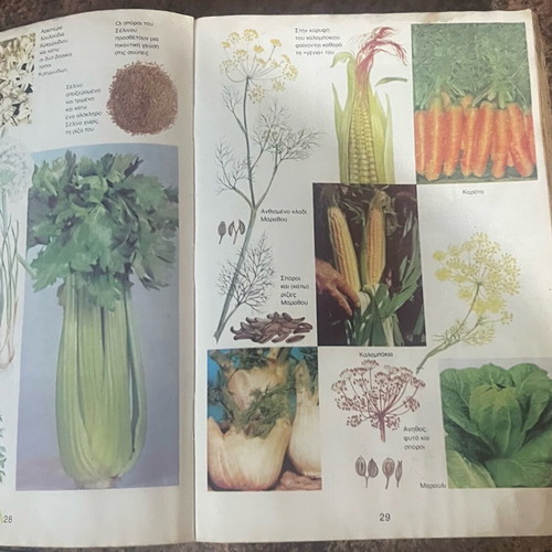 Botany book used with photos and detailed guidance