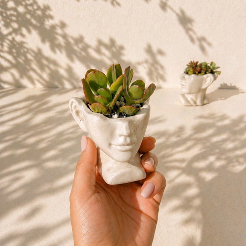 Handmade Cement Face Planters with Succulents