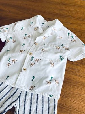 Zara shirt and pants like new, summer, 9-12 months