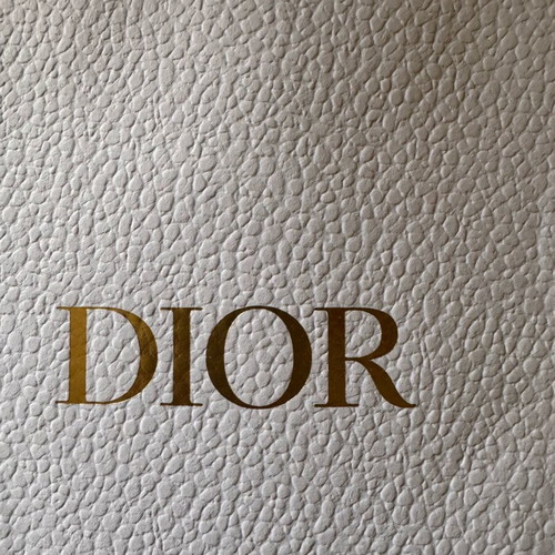 Dior gift bag like new