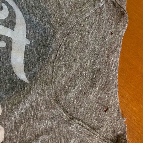 Zadig & Voltaire Tshirt used, grey melange, size M