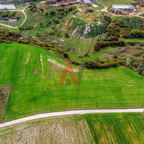 Buildable agricultural land 15,000 m² in Scholari Thessaloniki