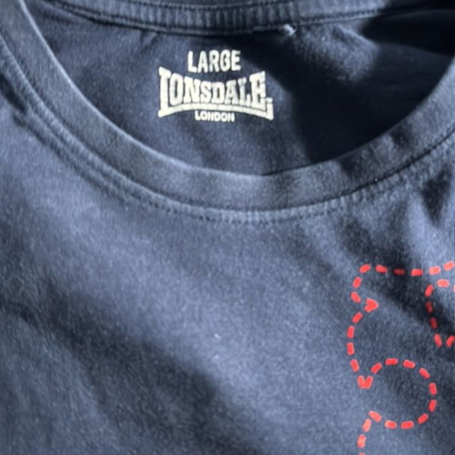 Lonsdale T-shirt used, size Large, blue
