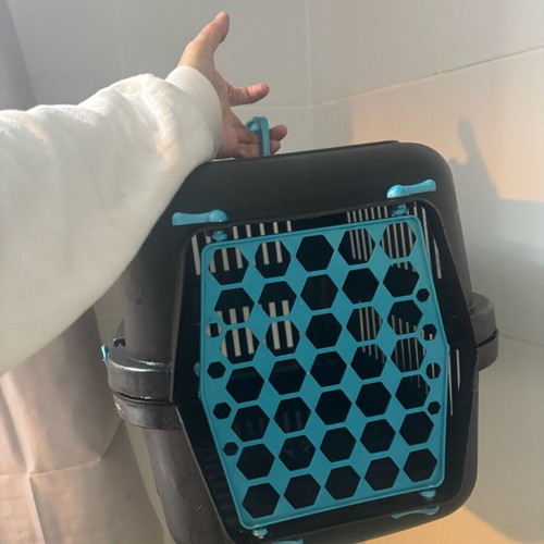 Pet transport box like new