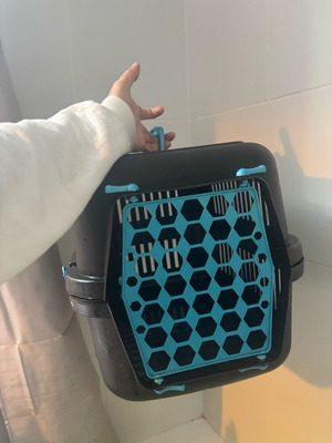 Pet transport box like new