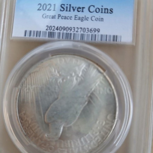 Replica American silver coin 2021